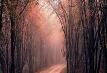 伊瓜因結束職業生涯 阿根廷輝煌前鋒時代再少一人.