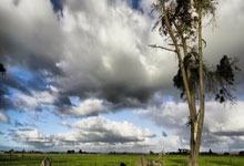 [NBA]班凯罗36分10篮板 魔术战胜老鹰.